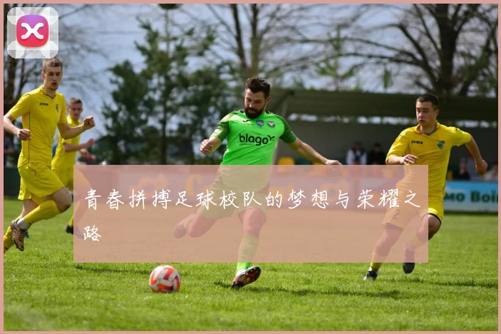 青春拼搏足球校队的梦想与荣耀之路