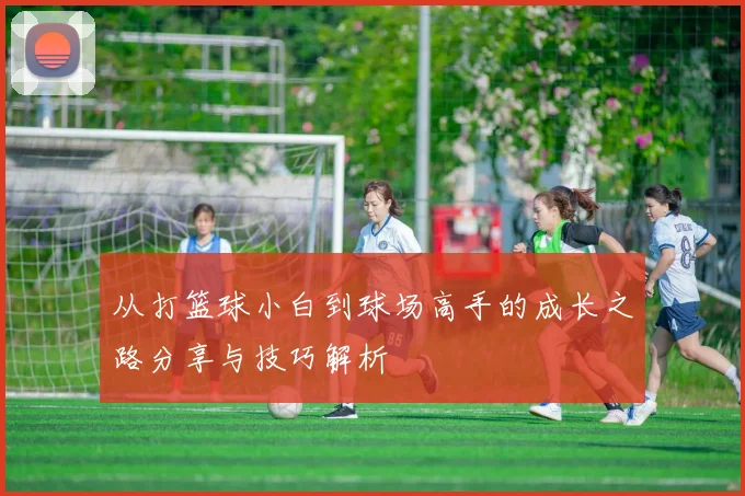 从打篮球小白到球场高手的成长之路分享与技巧解析