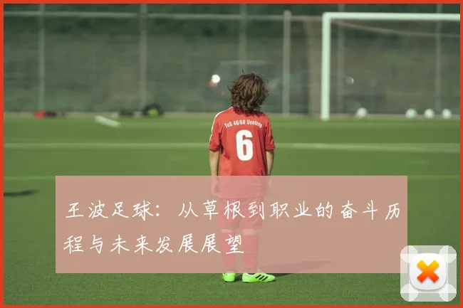 王波足球：从草根到职业的奋斗历程与未来发展展望