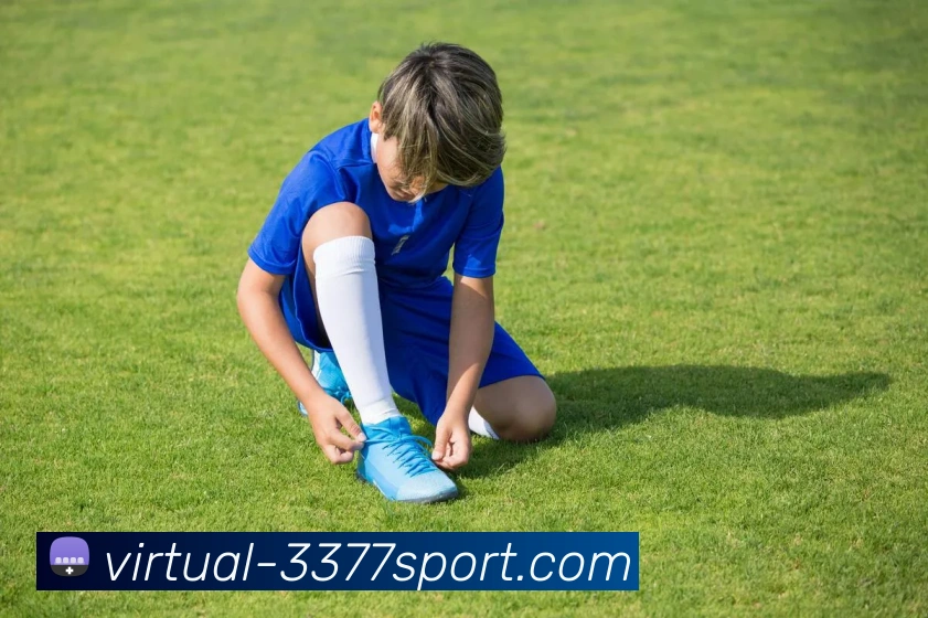 3377体育APP 封面图